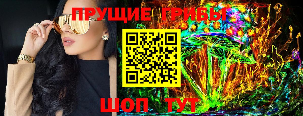Галлюциногенные грибы Psilocybe  Вход с VPN  Тейково 